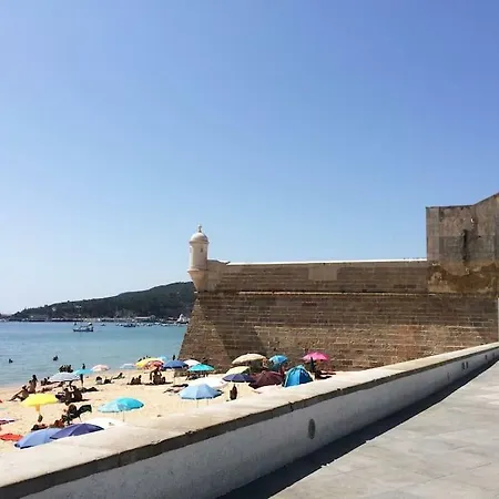 1111 Διαμέρισμα *